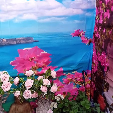 56 Lower Mount Carmel New Ross Εξωτερικό φωτογραφία